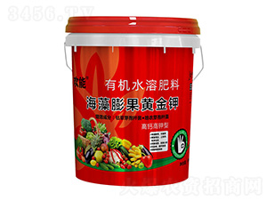 ���}����ͺ�������S���-�g��-����˹