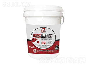 ���������-������-����˹