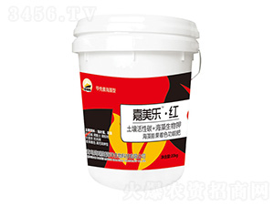 ���������ɫ���ܷ�-���������t-����˹