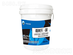 ���������ѿù��ܷ�-���������{-����˹