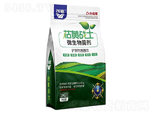 ΢�������-���S��(zh��n)ʿ-ï��-ȫ���S