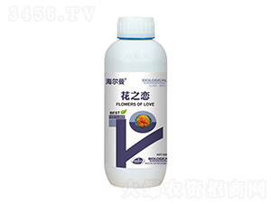 ����������֮��-����˹