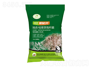 ���¡��ݲ�ѿ�ߗU��-�����`-������-����˹