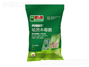 ����ľù��-�漚(x��)���`-������-����˹