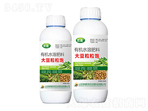 �������-�g��-����˹