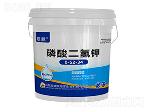 ��������0-52-34-�g��-����˹