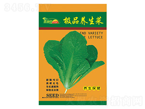 �B(y��ng)����-����