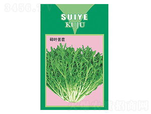 ���~����-����