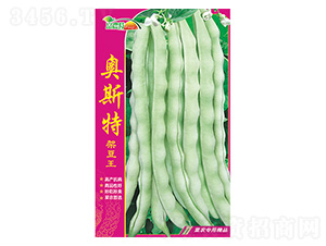 �ܶ���-�W˹��-����