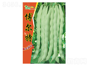 �|���N��-������-����