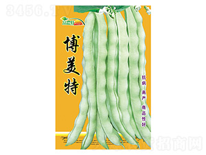 �|���N��-������-����