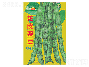 ��Ƥ�ܶ��������䶹��-����