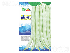 ���ǷN��-�n��-����