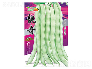 ���ǷN��-�n��-����