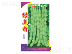 ���ǷN��-�G����-����