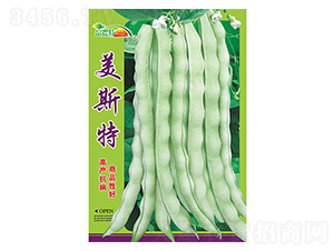 ���ǷN��-��˹��-����