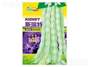 ���ǷN��-˹����-����