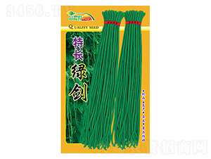 ���ǷN��-���L�G��-����