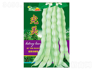 ���ǷN��-����-����