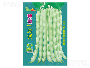 ���ǷN��-����һ���L-����