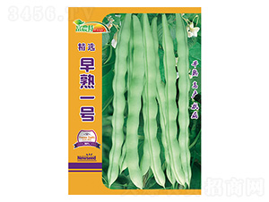 ���ǷN��-����һ̖(h��o)-����