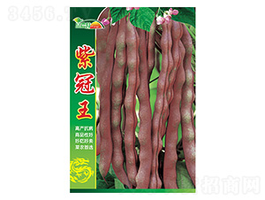 ���ǷN��-�Ϲ���-����