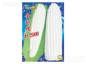 ���׷N��-���Ŵ��2000-����