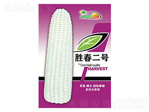 ���׷N��-�ٴ���̖(h��o)��ɫ��-����