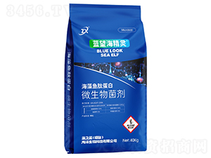 �����~�ĵ���΢�������-�{(l��n)�������`-��֮�{(l��n)