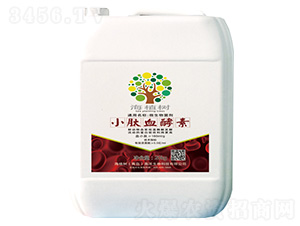 С��Ѫ����-΢�������-��ֲ��(sh��)