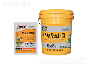 �ݲ�ѿ�ߗU�������ز磩-���-������