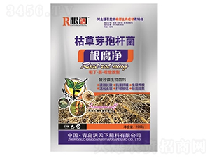 �ݲ�ѿ�ߗU������������-���-������