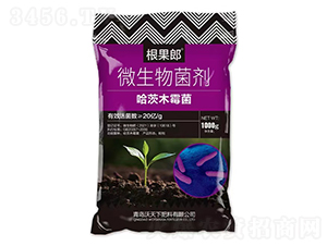 ����ľù��΢�������-������-������