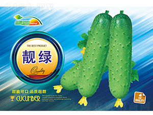 �S�ϷN��-�n�G-����