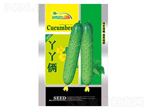 �S�ϷN��-ѾѾ�z�Gɫ��-����