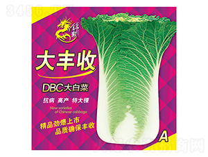 DBC��ײ�-���S��A-����