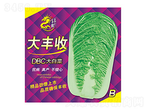 DBC��ײ�-���S��B-����