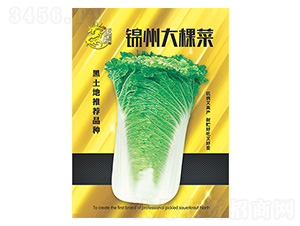 �\�ݴ�ò�-����