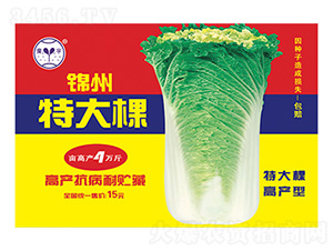 �\���ش��-����