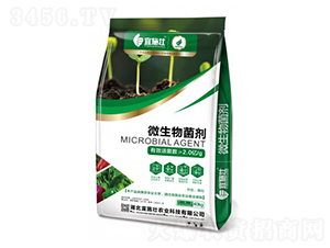 2�|���΢�������-��ʩ��