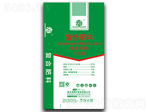 �S����⛏�(f��)�Ϸ���25-12-8��BSFA��-���}-���׵�