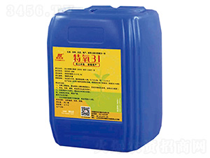 ����31-��δ��