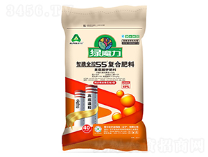 ��Ĥ�p��55��(f��)�Ϸ���-�Għ��-�۠���