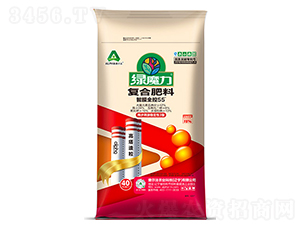 ��Ĥ�p��55��(f��)�Ϸ���24-8-10-�Għ��-��(��i)����