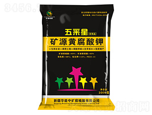 �VԴ�S�����-�����-�A���еV