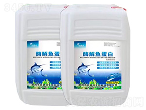 ø���~����-�f�@��-ϲ����