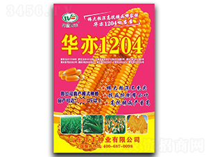 �A��1204-���׷N��-���S�N�I(y��)