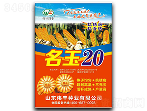 ����20-���׷N��-���S�N�I(y��)