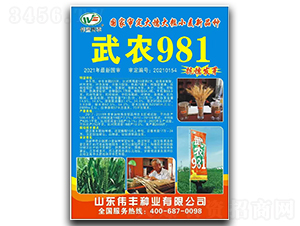 ���r981-С���N��-���S�N�I(y��)