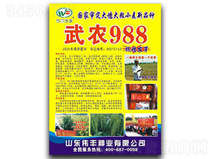 ���r988-С���N��-���S�N�I(y��)